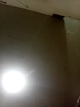 Bebicho14 online show from September 17, 2025, 3:08 am