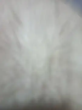 Jobson40 online show from February 1, 2026, 5:49 am