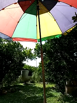 Snapshot of AlphaAlterX chatting on February 17, 2026, 7:22 pm AlphaAlterX online show from February 17, 2026, 7:22 pm