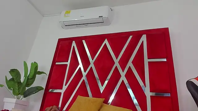 vennusasm1 online show from December 5, 2025, 9:01 pm