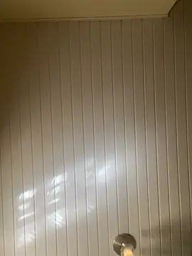 Viniciusbene online show from April 25, 2026, 1:41 pm