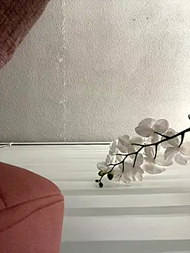 Snapshot of Adele_Pinkk chatting on November 3, 2025, 11:36 am Adele Pinkk online show from November 3, 2025, 11:36 am