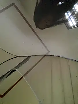 Snapshot of viluna chatting on November 2, 2025, 5:12 am viluna online show from November 2, 2025, 5:12 am