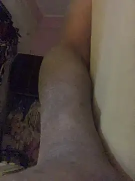 Kajal-Shemale69 online show from January 13, 2026, 11:03 am