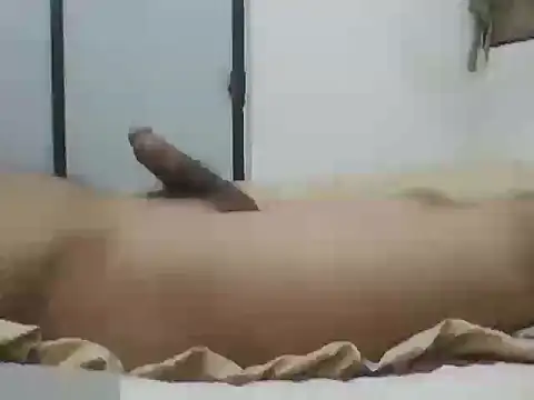 luis220712 online show from September 11, 2025, 2:11 am