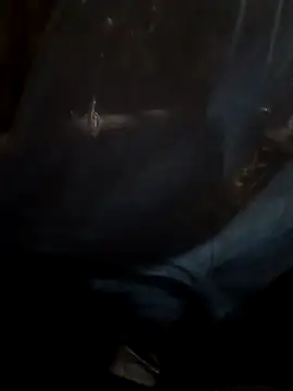 Sapna cutt online show from September 17, 2025, 8:22 pm