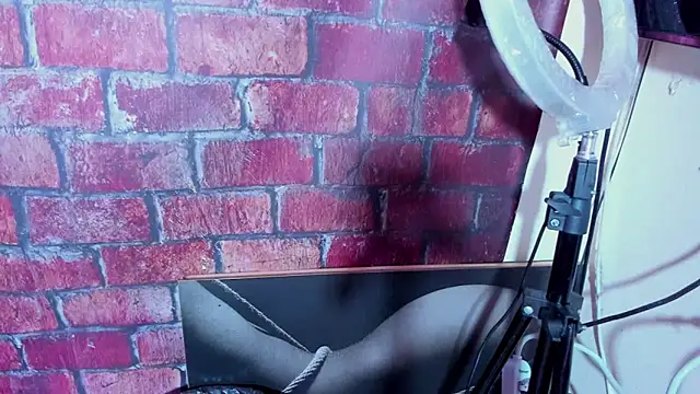 Snapshot of DakotaKS chatting on February 12, 2026, 4:12 am DakotaKS online show from February 12, 2026, 4:12 am