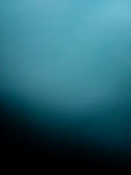 Bocuseart online show from December 5, 2025, 6:17 pm