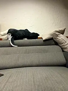 Snapshot of black_xun chatting on January 16, 2026, 2:32 pm black xun online show from January 16, 2026, 2:32 pm