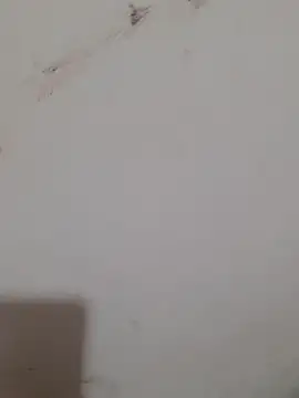 Snapshot of Sexy_Mal89 chatting on December 16, 2025, 5:28 pm Sexy Mal89 online show from December 16, 2025, 5:28 pm