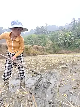 Tin tanny online show from December 5, 2025, 12:54 am