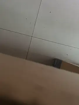 dajiba4718 online show from September 25, 2025, 9:59 am