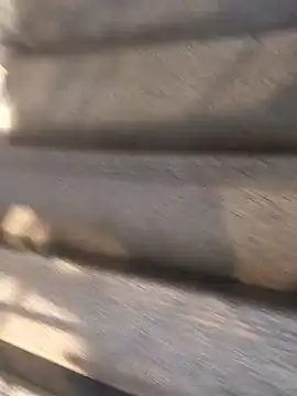 Snapshot of Bangladeshi_Big_male chatting on September 29, 2025, 9:49 am Bangladeshi Big male online show from September 29, 2025, 9:49 am