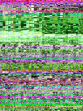 Snapshot of JuicyMellow21 chatting on November 20, 2025, 11:55 am JuicyMellow21 online show from November 20, 2025, 11:55 am