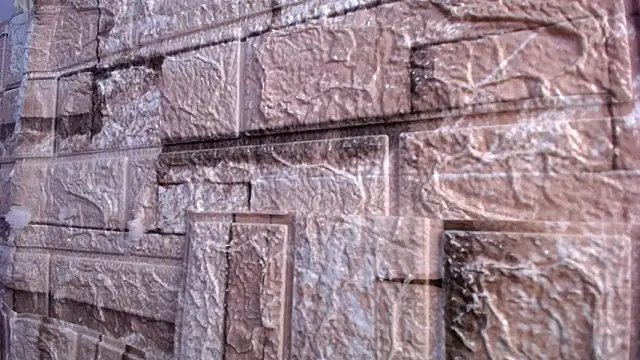 Bicky 24 online show from March 2, 2026, 7:59 am