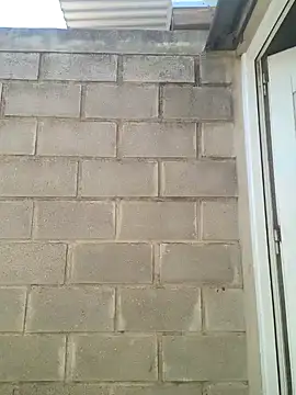 Snapshot of Almendrasexy chatting on October 31, 2025, 5:09 pm Almendrasexy online show from October 31, 2025, 5:09 pm