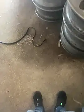 Chico031289 online show from February 12, 2026, 6:29 pm