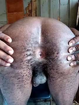 SeductiveDick1997 online show from March 22, 2026, 6:48 am