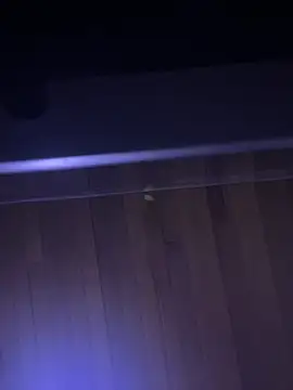 XBODTRIIPX online show from April 7, 2026, 11:17 pm