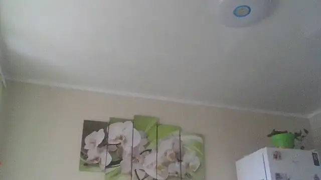 Zhinara online show from November 9, 2025, 9:35 am