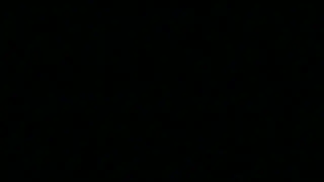 Pyrelissa online show from December 4, 2025, 6:34 am