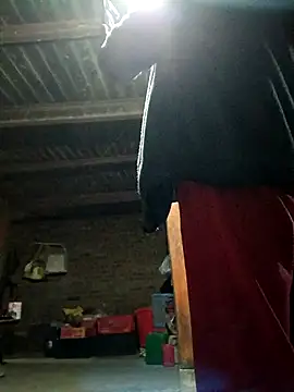 kemtuoi-sex online show from November 3, 2025, 1:58 pm