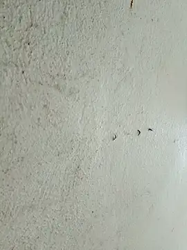 kata-00 online show from March 14, 2026, 5:35 am