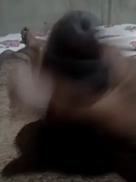 Snapshot of Tc777fun chatting on November 22, 2025, 11:47 pm Tc777fun online show from November 22, 2025, 11:47 pm