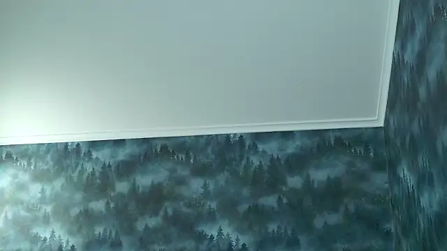 Snapshot of MarkShot_ chatting on November 8, 2025, 4:32 pm MarkShot online show from November 8, 2025, 4:32 pm