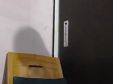 Nisha-telugu online show from October 12, 2025, 2:40 pm