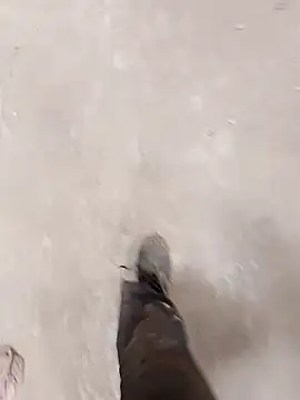 haryanaboypanipat12 online show from April 9, 2026, 7:25 am