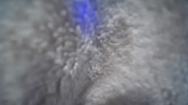 Snapshot of jasoncali305 chatting on November 20, 2025, 7:03 pm jasoncali305 online show from November 20, 2025, 7:03 pm