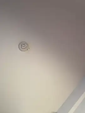 Andrestarr online show from March 19, 2026, 2:28 pm