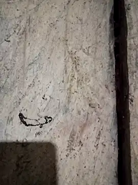 Snapshot of bonnie-00 chatting on November 6, 2025, 10:58 pm bonnie-00 online show from November 6, 2025, 10:58 pm