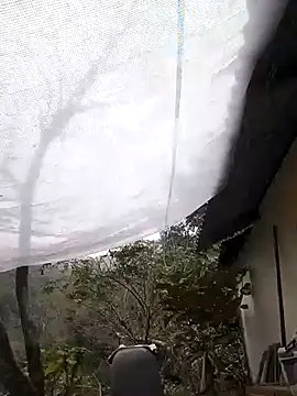 Dung x online show from February 7, 2026, 5:48 am