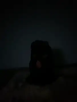 slaveboyrimmer online show from January 17, 2026, 10:57 pm