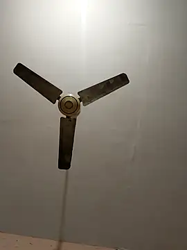 Snapshot of monarani5986 chatting on January 31, 2026, 8:18 pm monarani5986 online show from January 31, 2026, 8:18 pm