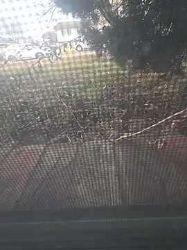 matatan0323 online show from February 10, 2026, 6:51 pm