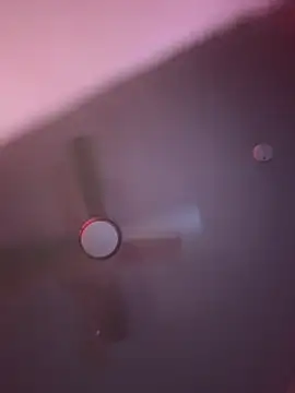 Texxaspearl online show from April 25, 2026, 9:56 am