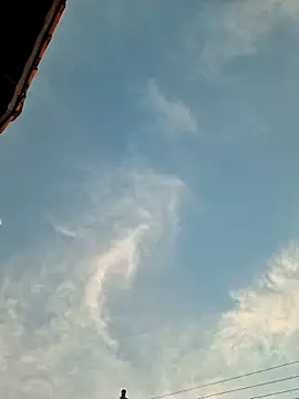 Snapshot of Bottz777 chatting on November 4, 2025, 9:40 pm Bottz777 online show from November 4, 2025, 9:40 pm