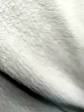 TallDickguy00 online show from September 28, 2025, 6:48 pm