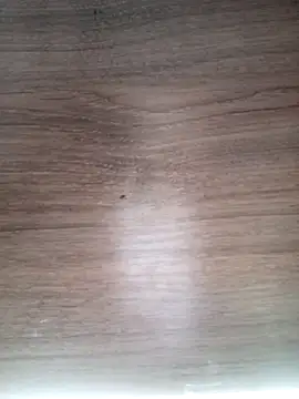 ValeriaLove43211 online show from March 13, 2026, 6:29 am