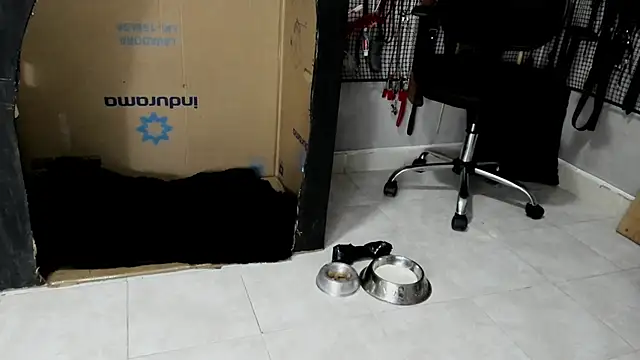 BDSM MEDUZA online show from February 23, 2026, 3:30 am