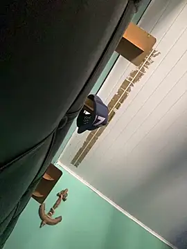 Snapshot of Ayla_wiens chatting on December 16, 2025, 2:32 pm Ayla wiens online show from December 16, 2025, 2:32 pm