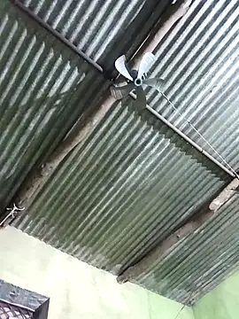 Snapshot of Haliya88 chatting on November 8, 2025, 11:08 pm Haliya88 online show from November 8, 2025, 11:08 pm