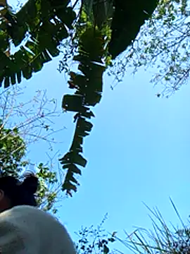 Snapshot of dorothyxx chatting on December 1, 2025, 3:51 am dorothyxx online show from December 1, 2025, 3:51 am