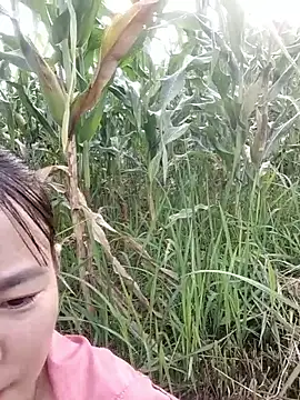 Meomeo-meo online show from October 29, 2025, 1:04 am