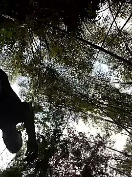 LucasGaeel online show from April 5, 2026, 8:37 pm