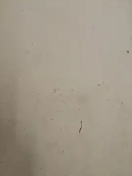 Snapshot of Hanaa07_ chatting on October 3, 2025, 12:03 am Hanaa07 online show from October 3, 2025, 12:03 am