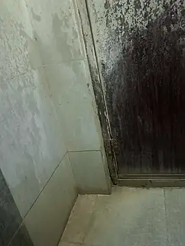 imkingz online show from October 22, 2025, 1:16 am